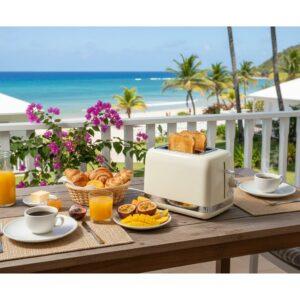 location grille pain moulinex pour vos vacances en Guadeloupe